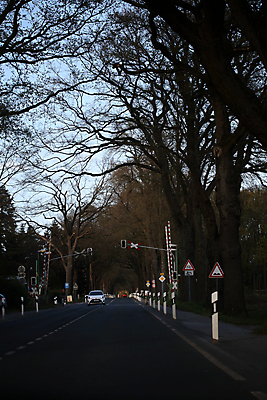 포토 JPG 해외이미지 구름 라이프스타일 응시 남자 행복 도로 스포츠 여행 포즈 비즈니스 창문 교통시설 모션 자동차 자연 하늘 실내 관리 안전 사람 앉기 성인 사람없음 야외 선글라스 태양 일출 일몰 운전 자유 판넬 바퀴 고속도로 운전사 땅 속도 추적 자동 해외포토 자연요소 직업 시선 감정 안경 길 육상교통 교통 컨셉 내부 생활 노을 시설 생태계 파일형식 이미지허브