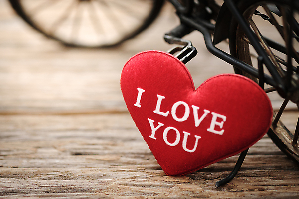 포토 JPG 해외이미지 모양 디자인 행복 백그라운드 컨셉 추상 휴가 기념 아이디어 발렌타인데이 사랑 미술 사람없음 목재 장식 빨간색 단어 장난감 우주 금속 자전거 검은색 수확 하트 인사 클래식 달콤 오브젝트 복고 정리 2월 스타일 힙스터 해외포토 나무 문자 패션 감정 컬러 무늬 농업 재료 데이이벤트 재질 문화예술 바이크 예절 날짜 맛 파일형식 이미지허브