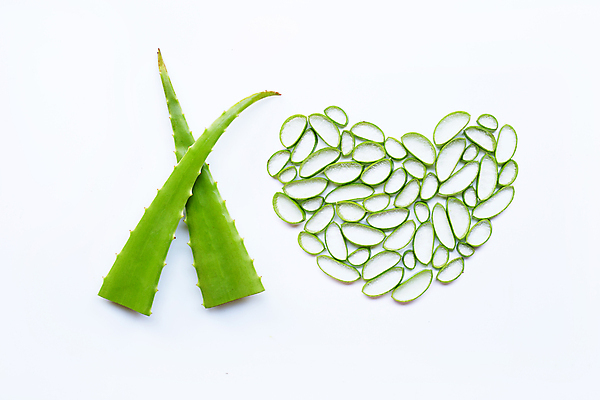 포토 JPG 해외이미지 스튜디오촬영 단면 실내 사람없음 하이앵글 하트 흰배경 알로에 엘리먼트 해외포토 모양 식물 뷰포인트 백그라운드 내부 흰색 파일형식 이미지허브