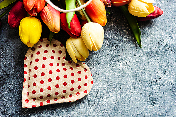 포토 JPG 해외이미지 꽃다발 회색배경 사람없음 장식 튤립 하트 해외포토 모양 꽃 백그라운드 회색 파일형식 이미지허브