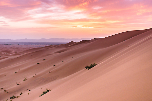 포토 JPG 해외이미지 모래 여행 백그라운드 오렌지 아프리카 자연 하늘 건조 풍경 사람없음 야외 노란색 일몰 사막 뜨거움 모래언덕 언덕 낙타 모로코 사하라 아랍어 카라반 해외포토 나라 컬러 과일 포유류 노을 생태계 캠핑카 파일형식 이미지허브