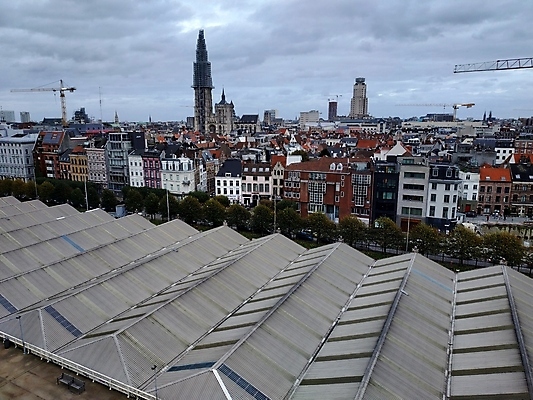 포토 JPG 해외이미지 주간 나무 식물 건축양식 거리 주택 풍경 사람없음 건물 물 햇빛 반사 수확 역사 재산 질감 복고 운하 벨기에 시들음 구식 옛날 힙스터 해외포토 자연요소 건축물 패션 건축 농업 금융 태양 서유럽 파일형식 이미지허브