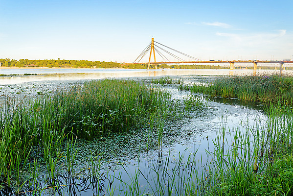 포토 JPG 해외이미지 식물 파도 자연 하늘 표면 파노라마 갈대 사람없음 초록색 물 여름 파란색 강 반사 일몰 젖음 액체 저녁 내추럴 옛날 우크라이나 해외포토 자연요소 계절 유럽 바다 컬러 촬영기법 노을 야간 생태계 파일형식 이미지허브