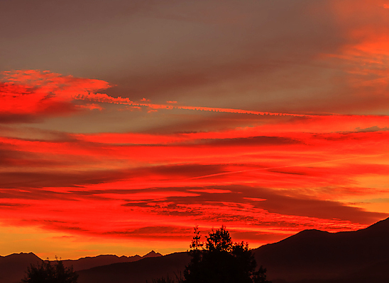 포토 JPG 해외이미지 나무 구름 실루엣 오렌지 자국 자연 하늘 산 풍경 사람없음 빨간색 태양 일몰 페인트 광선 물방울 그리기 분위기 매움 수평선 해외포토 자연요소 식물 컬러 컨셉 과일 모션 촬영기법 노을 맛 생태계 파일형식 이미지허브