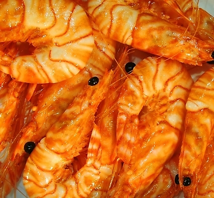 포토 JPG 해외이미지 동물 모델 접시 음식 바다 신체 오렌지 새우 사람없음 빨간색 컬러풀 신선 맛 해산물 왁스 해외포토 식기 컬러 컨셉 과일 갑각류 파일형식 이미지허브