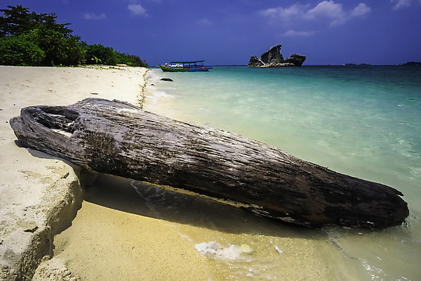 포토 JPG 해외이미지 나무 구름 아시아 모래 파도 바다 섬 여행 백그라운드 자연 하늘 휴가 풍경 해변 사람없음 야외 목재 초록색 물 여름 파란색 모래사장 맑음 뜨거움 질감 인도네시아 내추럴 옛날 해외포토 자연요소 식물 계절 나라 컬러 재료 날씨 생태계 파일형식 이미지허브