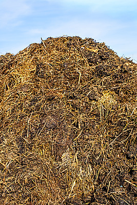 포토 JPG 해외이미지 동물 농업 자연 사람없음 갈색 시골 벌레 큼 언덕 밀짚 흙더미 내추럴 거름 해외포토 산업 컬러 곤충 흙 짚 크기 생태계 파일형식 더미 이미지허브