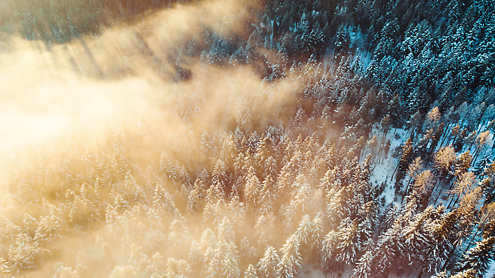 포토 JPG 해외이미지 나무 계절 실루엣 여행 백그라운드 겨울 자연 아침 동화 산 안테나 풍경 사람없음 야외 빛 햇빛 태양 일출 환경 냉동 추위 안개 광선 시골 소나무 눈송이 황무지 숲 언덕 서리 공상 전나무 드론 삼림지대 스칸디나비아 폭설 눈내림 가문비나무 해외포토 주간 자연요소 식물 통신 날씨 눈_날씨 촬영기법 노을 자연재해 생태계 파일형식 이미지허브
