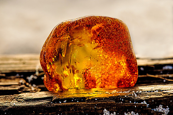 포토 JPG 해외이미지 자연 사람없음 빛 주황색 투명 보석 화석 앰버 해외포토 컬러 광석 생태계 파일형식 이미지허브