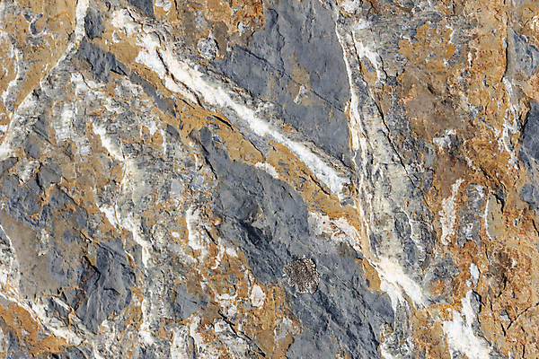 포토 JPG 해외이미지 식물 디자인 계절 공원 벽 백그라운드 컨셉 잎 패턴 자연 벽지 표면 추상 바닥 미술 잔디 사람없음 야외 장식 빛 컬러풀 햇빛 환경 정원 성장 신선 닫기 유기농 질감 보케 부드러움 내추럴 블러 생태학 효과 해외포토 웰빙 공공시설 교육 컬러 무늬 모션 문화예술 태양 감각 생태계 파일형식 이미지허브