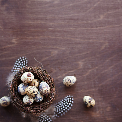 포토 JPG 해외이미지 음식 백그라운드 자연 휴가 건강 사람없음 야외 목재 장식 갈색 바구니 봄 수확 흰색 시골 축하 점 신용카드 둥지 작음 4월 깃털 유기농 부활절계란 심플 초대 건강식 내추럴 메추리 스타일 카피스페이스 해외포토 나무 웰빙 계절 컬러 컨셉 농업 재료 부활절 금융 계란 공백 날짜 크기 생태계 파일형식 이미지허브