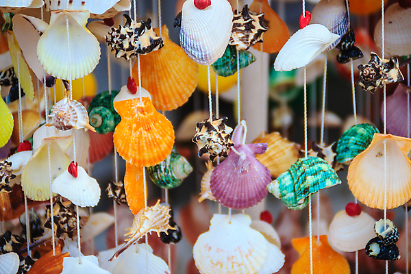 포토 JPG 해외이미지 동물 디자인 바다 백그라운드 패턴 오렌지 장신구 자연 모바일 추상 조개 주택 실내 매달리기 미술 해변 사람없음 내부 장식 여름 컬러풀 상점 껍질 흰색 고명 끝 혼합 옷걸이 공예 질감 내추럴 마무리 핸드메이드 흥미 해외포토 계절 컬러 컨셉 무늬 과일 모션 문화예술 어패류 취미 건물 생태계 파일형식 이미지허브