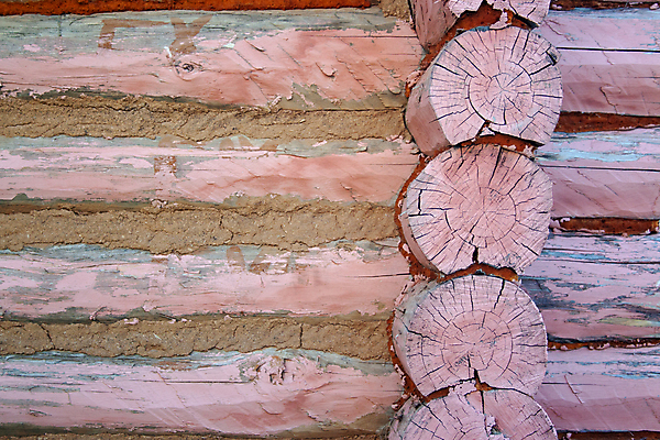 포토 JPG 해외이미지 나무 전통 디자인 외관 벽 백그라운드 패턴 건축양식 자연 표면 추상 주택 프레임 사람없음 내부 목재 가로 갈색 수확 시골 소나무 원형 거친 널 시골집 질감 통나무 잡동사니 내추럴 양모 그런지 수목 옛날 줄서기 해외포토 도형 식물 건축 컬러 무늬 농업 재료 모션 건물 직물 생태계 파일형식 이미지허브