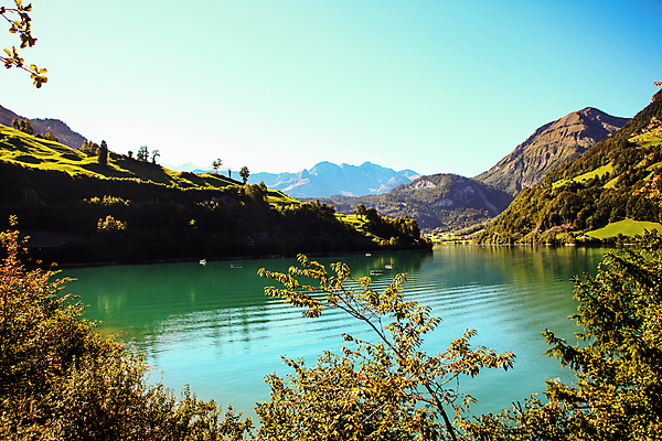 포토 JPG 해외이미지 유럽 호수 스포츠 밭 건축양식 자연 아침 지붕 낚시 휴가 주택 어류 풍경 사람없음 야외 초록색 물 여름 농장 반사 마을 계곡 침묵 거울 하이킹 시골 보트 숲 작음 타일 스위스 언덕 알프스 타운 베른 샬레 웅장함 해외포토 주간 자연요소 계절 건축 나라 컬러 농업 배_교통 레저 실험기구 건물 수중동물 소리 도시 크기 생태계 파일형식 이미지허브