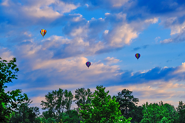 포토 JPG 해외이미지 주간 하늘 나뭇잎 풍경 사람없음 야외 열기구 비행 해외포토 자연요소 잎 항공교통 파일형식 이미지허브