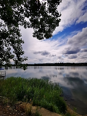 포토 JPG 해외이미지 나무 구름 호수 음식 백그라운드 밭 신체 비즈니스 가족 자연 하늘 추상 거리 주택 서기 사람 풍경 사람없음 야외 물 강 사무실 반사 유행 기차 연못 양 보트 작음 큼 책상 고립 돌봄 선로 해외포토 자연요소 식물 육상교통 가구 무늬 농업 배_교통 포유류 관계 모션 대중교통 건물 크기 생태계 파일형식 이미지허브