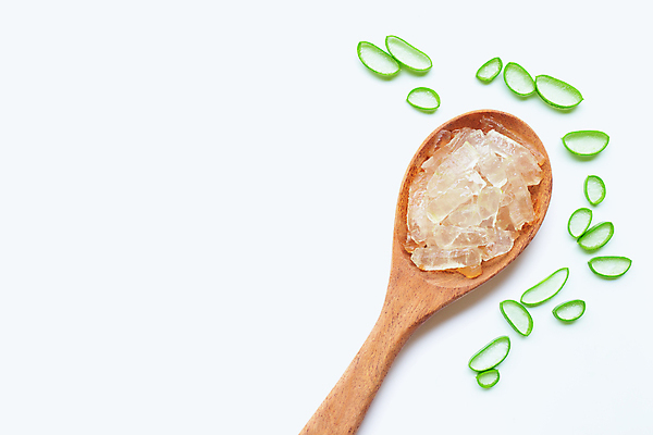 포토 JPG 해외이미지 스튜디오촬영 단면 실내 사람없음 흰배경 알로에 해외포토 식물 백그라운드 내부 흰색 파일형식 이미지허브