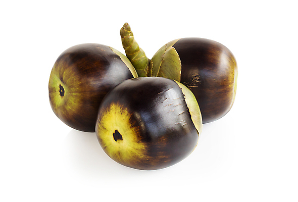 포토 JPG 해외이미지 식물 음료 음식 농업 다이어트 과일 재료 태국 식이요법 손바닥 동양인 사람없음 농장 수확 신선 달콤 맛 설탕 허브 캄보디아 섬유 내추럴 방글라데시 세련 해외포토 손 산업 아시아 컨셉 건강 인종 직물 남아시아 파일형식 이미지허브