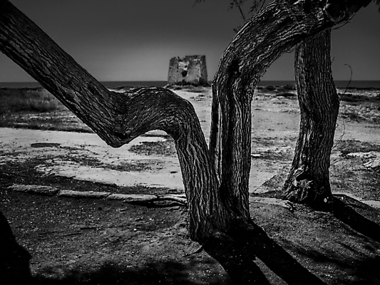 포토 JPG 해외이미지 전통 바다 여행 건축양식 교통시설 낚시 주택 파노라마 풍경 해변 사람없음 야외 건물 물 여름 파란색 컬러풀 여행객 마을 이탈리아 골동품 흰색 도시 중세 지중해 그림 타운 남쪽 강렬 옛날 인기 터키석 해외포토 자연요소 건축물 계절 건축 유럽 컬러 교통 레저 촬영기법 사람 역사 보석 방향 시설 파일형식 이미지허브