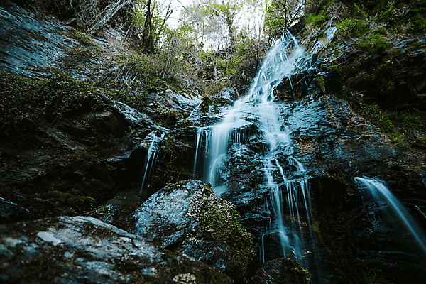 포토 JPG 해외이미지 주간 파도 자연 휴식 풍경 사람없음 야외 평화 바위 풀 경관 해외포토 자연요소 식물 바다 컨셉 돌_바위 생태계 파일형식 이미지허브