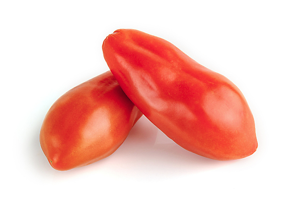 포토 JPG 해외이미지 1 패턴 토마토 채소 과일 재료 자연 벽지 건강 사람없음 빨간색 초록색 빛 농작물 노란색 쌓기 수확 흰색 신선 체리 그룹 시장 달콤 작음 자르기 먹기 오브젝트 싱글 유기농 질감 날것 광택 흙더미 고립 숙성 채식주의자 많음 카피스페이스 비건 해외포토 웰빙 컬러 컨셉 무늬 농업 모션 흙 공백 맛 크기 생태계 채식 파일형식 더미 이미지허브