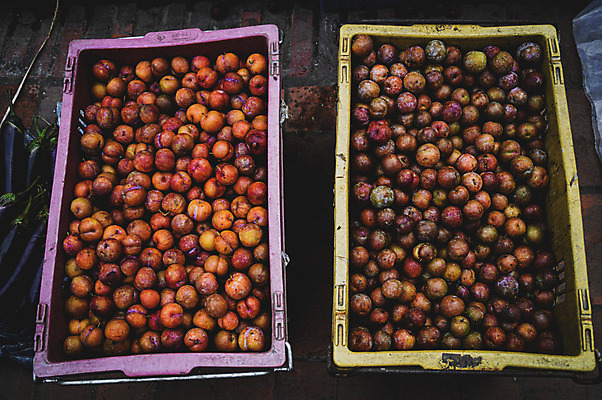 포토 JPG 해외이미지 라이프스타일 아시아 백그라운드 농업 과일 자연 건강 사람없음 어둠 수확 신선 시장 유기농 질감 날것 라오스 흙더미 내추럴 숙성 채식주의자 해외포토 웰빙 나라 산업 생활 흙 생태계 채식 파일형식 더미 이미지허브