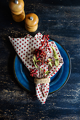 포토 JPG 해외이미지 식기 계절 열매 음식 백그라운드 컨셉 단풍 잎 채소 오렌지 과일 재료 탁자 프레임 종류 감 요리 사람없음 목재 빨간색 농작물 세트 노란색 어둠 견과류 수확 가을 시골 신용카드 은색 향신료 호두 설정 숙성 카피스페이스 해외포토 나무 식물 컬러 가구 농업 금융 공백 향미료 파일형식 이미지허브