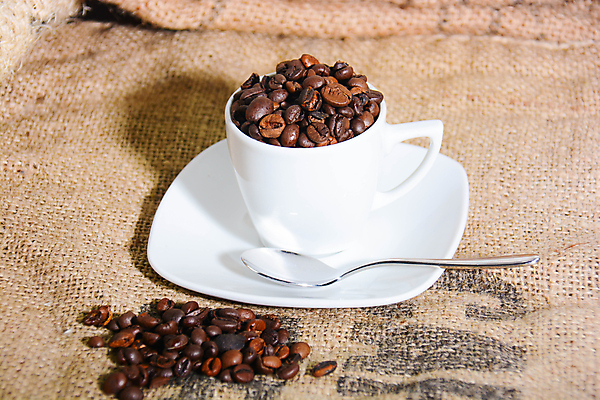 포토 JPG 해외이미지 커피 사람없음 원두 티스푼 에스프레소 커피자루 해외포토 음료 숟가락 자루 파일형식 이미지허브