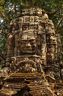 포토 JPG 해외이미지 건축양식 자연 벽돌 사람없음 건물 사찰 뿌리 유모차 캄보디아 사암 복잡 파멸 해외포토 건축물 건축 아시아 컨셉 종교건축 아기용품 돌_바위 생태계 파일형식 소멸 이미지허브