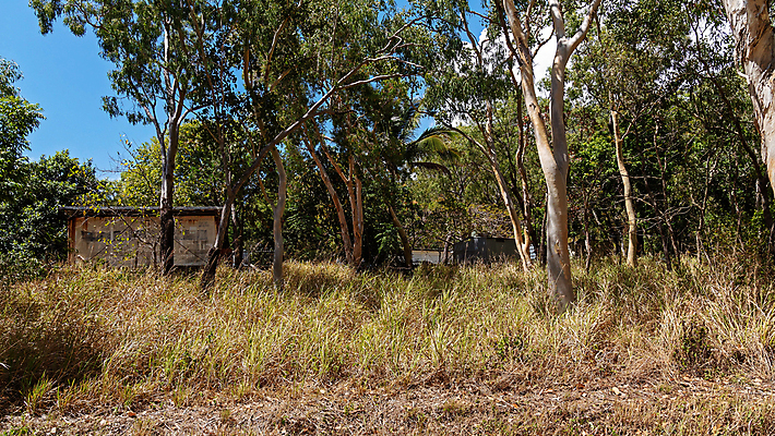 포토 JPG 해외이미지 나무 라이프스타일 날씨 건조 사람없음 목재 환경 수확 골동품 역사 호주 숲 작음 버리기 서식지 리빙 헛간 수목 옛날 판잣집 해외포토 식물 농업 재료 모션 주택 생활 오세아니아 크기 저장고 파일형식 이미지허브