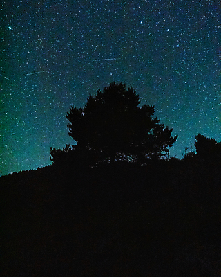 포토 JPG 해외이미지 나무 공원 행복 별 과학 여행 백그라운드 컨셉 2 밭 자연 하늘 휴가 아이디어 소년 사람없음 우주 꿈 탐험 관찰 분위기 야간 숲 방향 쇼 장노출 공상 천국 발견 해외포토 자연요소 식물 공공시설 남자 감정 어린이 농업 모션 촬영기법 생태계 파일형식 이미지허브
