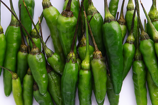 포토 JPG 해외이미지 나무 식물 음식 백그라운드 잎 농업 채소 재료 태국 자연 고추 조류 파프리카 건강 요리 씨앗 사람없음 빨간색 초록색 컬러풀 정원 추위 성장 흰색 신선 뜨거움 양념 먹기 향신료 유기농 매움 날것 후추 칠레 내추럴 연소 고립 숙성 채식주의자 해외포토 동물 웰빙 산업 아시아 컬러 모션 남아메리카 맛 생태계 채식 향미료 파일형식 이미지허브