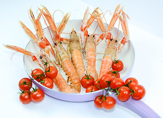 포토 JPG 해외이미지 조개 새우 사람없음 해외포토 어패류 갑각류 파일형식 이미지허브