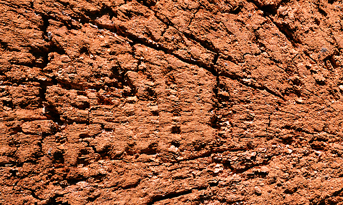 포토 JPG 해외이미지 나무 식물 디자인 곤충 백그라운드 패턴 자연 표면 날씨 추상 프레임 건조 사람없음 목재 빨간색 갈색 거친 보호 숲 피부 묘사 질감 나무껍질 섬유 내추럴 그런지 삼나무 수목 엘리먼트 옛날 해외포토 동물 컬러 컨셉 무늬 재료 신체부위 껍질 직물 생태계 파일형식 이미지허브