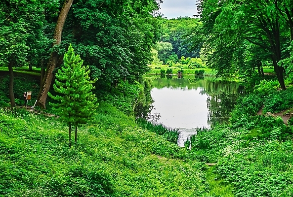 포토 JPG 해외이미지 나무 공원 유럽 길 호수 여행 자연 휴식 국립공원 그림자 사람없음 여름 산책 역사 숲 휴양지 우크라이나 해외포토 식물 계절 공공시설 나라 컨셉 장소 생태계 파일형식 이미지허브