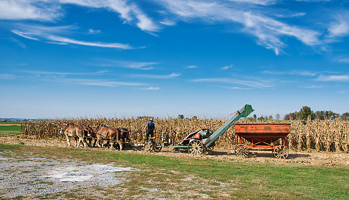 포토 JPG 해외이미지 식물 구름 종교 여행 밭 농업 자연 하늘 파노라마 옥수수 풍경 사람없음 야외 초록색 파란색 농작물 농장 환경 미국 수확 성장 시골 신선 숲 땅 유기농 마차 내추럴 외양간 밭일 해외포토 자연요소 웰빙 산업 교통수단 컬러 북아메리카 곡류 촬영기법 생태계 파일형식 이미지허브