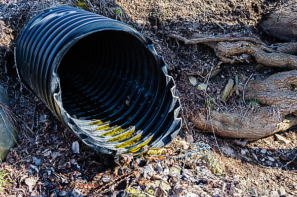 포토 JPG 해외이미지 나무 산업 사람없음 야외 물 환경 검은색 장비 원형 구멍 플라스틱 뿌리 먼지 암초 폭풍 튜브 공학 배수구 골절 땅바닥 폐수 하수 해외포토 자연요소 도형 식물 교육 컬러 의학 재질 날씨 바닥 환경오염 파일형식 이미지허브