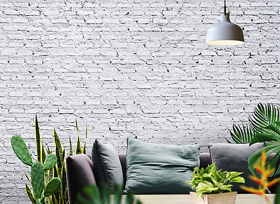 포토 JPG 해외이미지 식물 디자인 꽃 화초 벽 가구 백그라운드 잎 꽃무늬 의자 베개 자연 탁자 휴식 벽돌 선인장 주택 실내 손바닥 사람없음 내부 목재 장식 초록색 빛 소파 우주 방 흰색 등불 램프 뱀 질감 시멘트 리빙 내추럴 돌봄 스타일 해외포토 나무 손 컬러 생활용품 컨셉 무늬 재료 침구 파충류 모션 조명 건물 생태계 파일형식 이미지허브