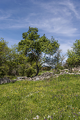 포토 JPG 해외이미지 나무 구름 공원 꽃 벽 백그라운드 잎 밭 자연 하늘 사람 풍경 사람없음 야외 책 세로 초록색 파란색 울타리 평화 정원 맑음 침묵 봄 자유 금지 덮개 바위 나뭇가지 시골 신선 그림 엽서 내추럴 땅바닥 해외포토 자연요소 식물 계절 공공시설 컬러 컨셉 농업 날씨 바닥 담장 소리 뚜껑 돌_바위 편지 생태계 파일형식 이미지허브