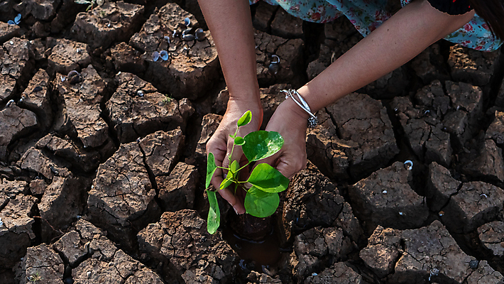 포토 JPG 해외이미지 나무 식물 손 지구 백그라운드 컨셉 손가락 자연 하늘 안전 사람 사람없음 초록색 물 세계 글로벌 태양 지구본 평화 우주 환경 희망 재활용 행성 성장 잡기 보호 땅 사인 생태계 지구온난화 내추럴 개발 돌봄 생태학 여의주 해외포토 자연요소 교육 감정 컬러 모션 신체부위 친환경 기후변화 파일형식 이미지허브