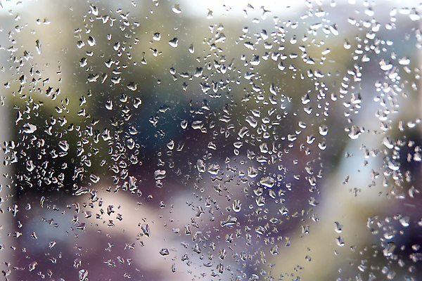 포토 JPG 해외이미지 백그라운드 패턴 창문 자연 유리 표면 날씨 추상 사람없음 물 파란색 거품 젖음 흰색 물방울 투명 액체 떨어짐 이슬 수분 빗방울 질감 해외포토 자연요소 컬러 컨셉 무늬 재질 비_날씨 생태계 파일형식 이미지허브