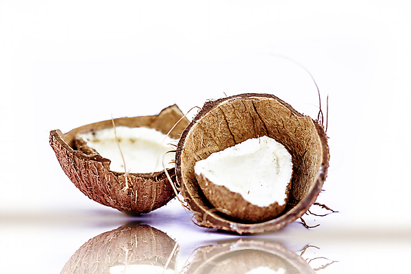 포토 JPG 해외이미지 식물 라이프스타일 길 음료 음식 백그라운드 잎 다이어트 과일 부분 자연 건강 손바닥 그림자 사람없음 초록색 여름 반사 갈색 우유 견과류 껍질 흰색 신선 원형 달콤 맛 자르기 먹기 오브젝트 코코넛 내추럴 고립 단절 이국적 채식주의자 해외포토 도형 손 계절 컬러 컨셉 모션 유제품 생활 생태계 채식 파일형식 이미지허브