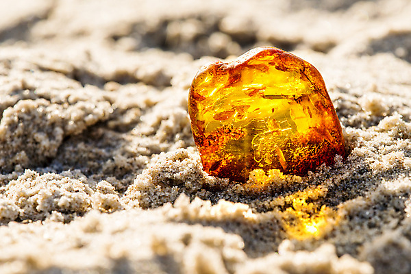 포토 JPG 해외이미지 자연 사람없음 빛 주황색 투명 보석 화석 앰버 해외포토 컬러 광석 생태계 파일형식 이미지허브