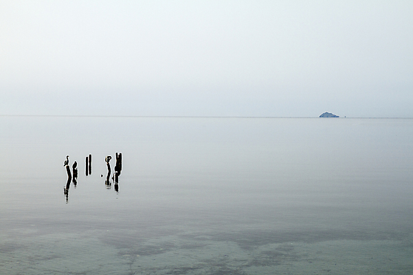 포토 JPG 해외이미지 동물 실루엣 호수 야생동물 바다 섬 백그라운드 날개 자연 조류 하늘 휴식 파노라마 풍경 사람없음 야외 물 반사 평화 항구 검은색 이탈리아 기다림 지중해 태평양 인내 수평선 해외포토 자연요소 유럽 컬러 컨셉 교통시설 모션 촬영기법 생태계 파일형식 이미지허브