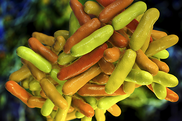 포토 JPG 해외이미지 식물 일러스트 사람 사람없음 치료 약 3D 생물학 긍정 발효 미생물 요거트 박테리아 내추럴 보충 요구르트 해외일러스트 교육 컨셉 의학 유제품 생물 디지털합성 파일형식 이미지허브