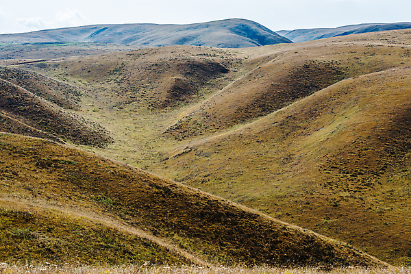 포토 JPG 해외이미지 식물 백그라운드 밭 자연 벽지 산 풍경 사람없음 야외 가로 초록색 컬러풀 노란색 계곡 중국 침묵 가을 시골 변화 정상 땅 허브 언덕 슬로프 산악지대 우울증 절정 해외포토 계절 아시아 컬러 컨셉 농업 스키장 소리 질병 생태계 파일형식 이미지허브