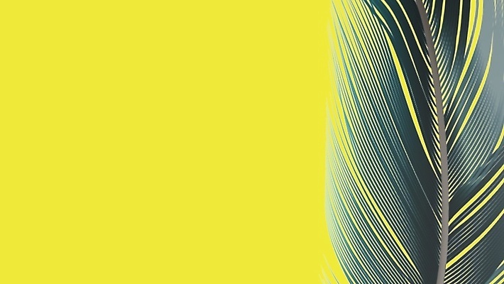 포토 JPG 해외이미지 동물 디자인 백그라운드 컨셉 패턴 날개 일러스트 자연 조류 추상 미술 사람없음 그래픽 장식 세트 컬러풀 펜 유행 3D 꿈 수확 흰색 우아함 수집 깃털 오브젝트 그림 부드러움 솜털 고립 깃털펜 엘리먼트 스타일 현실 해외일러스트 컬러 무늬 농업 문화예술 필기구 감각 디지털합성 생태계 파일형식 이미지허브