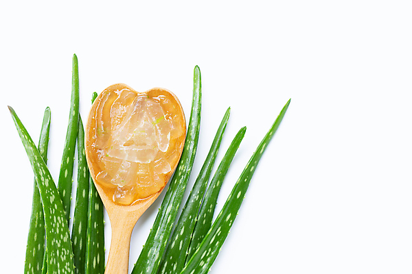 포토 JPG 해외이미지 스튜디오촬영 실내 사람없음 흰배경 나무숟가락 알로에 해외포토 식물 백그라운드 내부 숟가락 흰색 파일형식 이미지허브