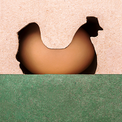 포토 JPG 해외이미지 산업 종이 음식 백그라운드 컨셉 농업 재료 가정 쟁반 건강 요리 사람없음 상자 농장 계란 치킨 신선 그룹 상품 방목 컨테이너 자르기 가득함 유기농 생태계 패키지 짐싸기 단백질 밭일 암탉 전용 추가 중소기업 해외포토 웰빙 회사 모션 알 닭 축산업 암컷 닭고기요리 영양소 파일형식 이미지허브