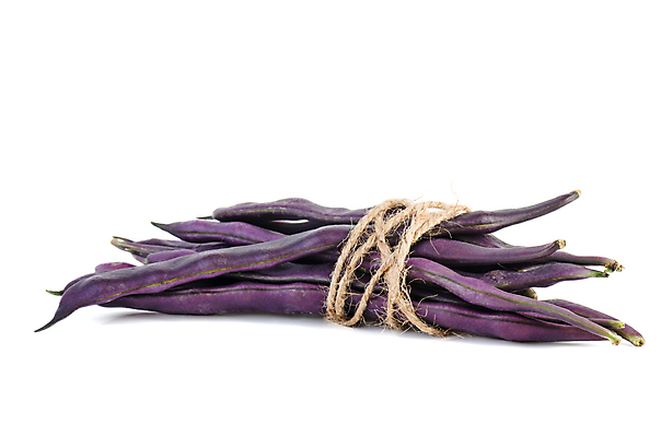 포토 JPG 해외이미지 식물 밧줄 음식 채소 재료 콩 건강 사람없음 보라색 검은색 흰색 신선 신장 실 묶기 제비꽃 삼베 유기농 날것 강낭콩 고립 꼬투리 생식 채식주의자 해외포토 웰빙 꽃 줄 컬러 모션 곡류 비뇨기관 채식 파일형식 천_직물 이미지허브